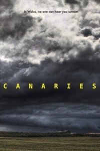 Постер к Канарейки (2017)