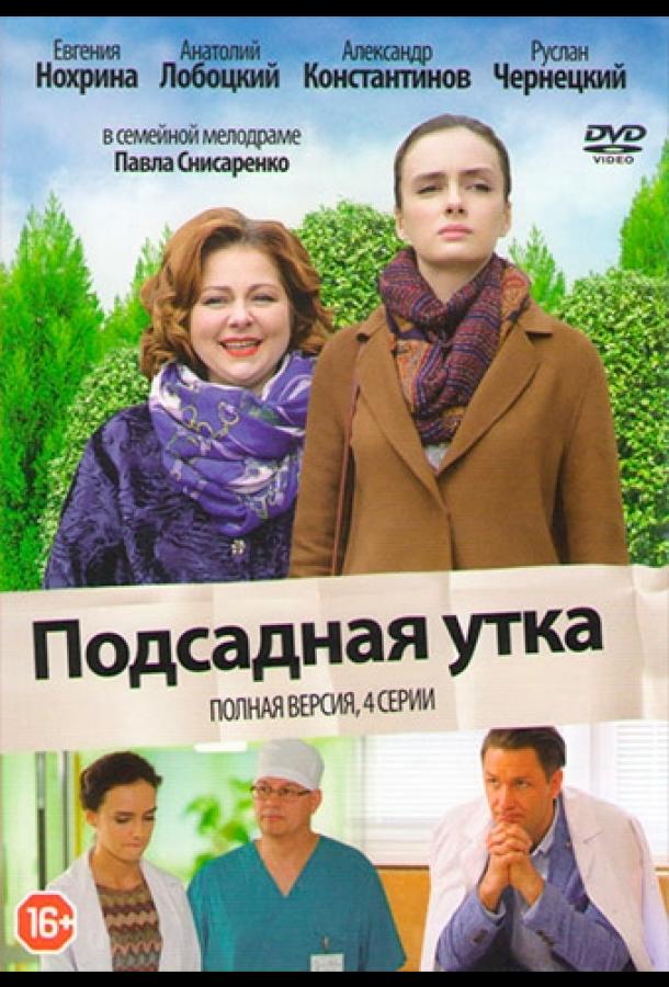 Постер к Подсадная утка (2016)