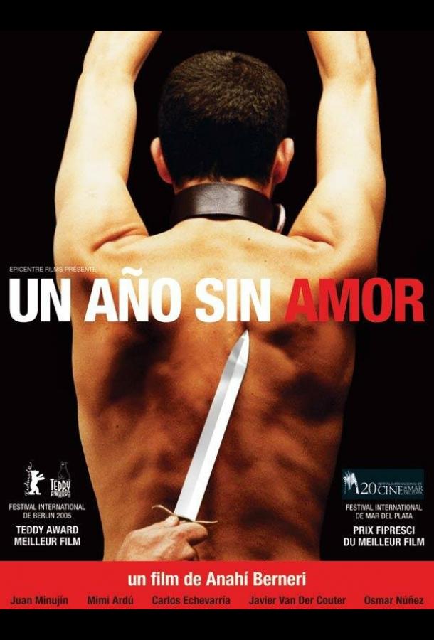 Постер к Год без любви (2004)