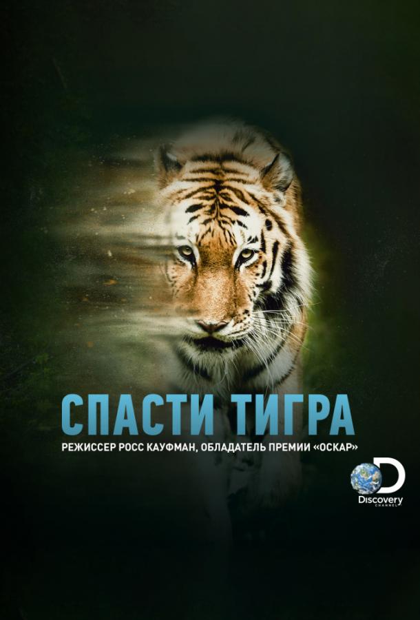 Постер к Animal Planet: Спасти тигра (2019)