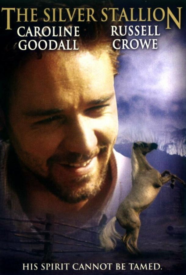 Постер к Серебряный ветер (1993)