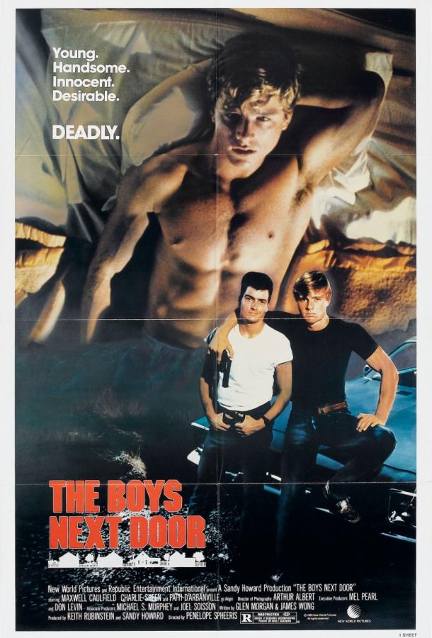 Постер к Соседские мальчишки (1985)