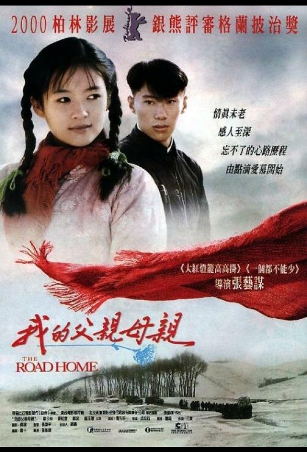 Постер к Дорога домой (1999)