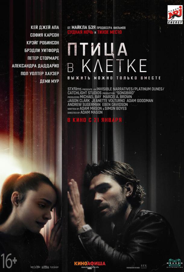 Постер к Птица в клетке (2020)