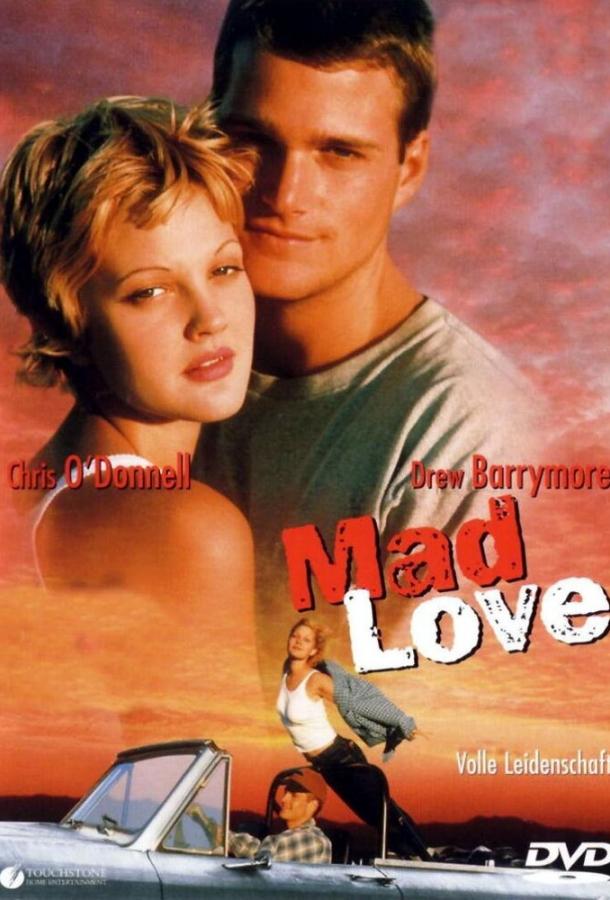 Постер к Дикая любовь (1995)