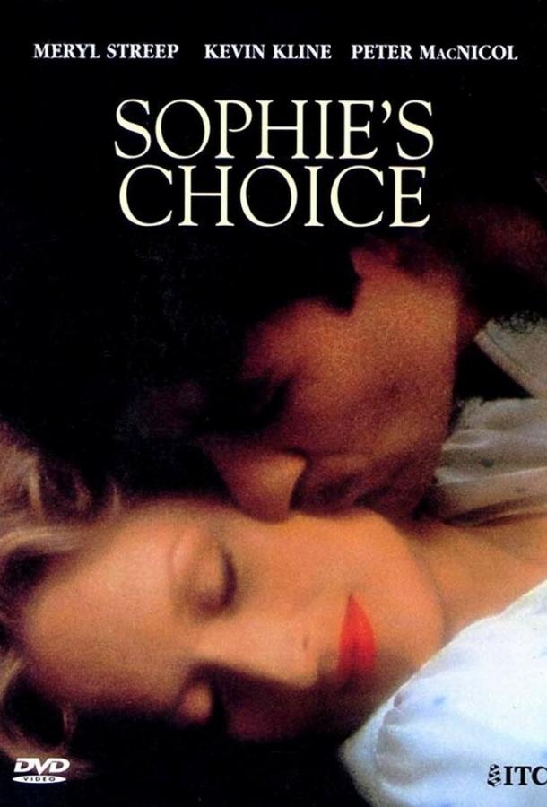 Постер к Выбор Софи (1982)