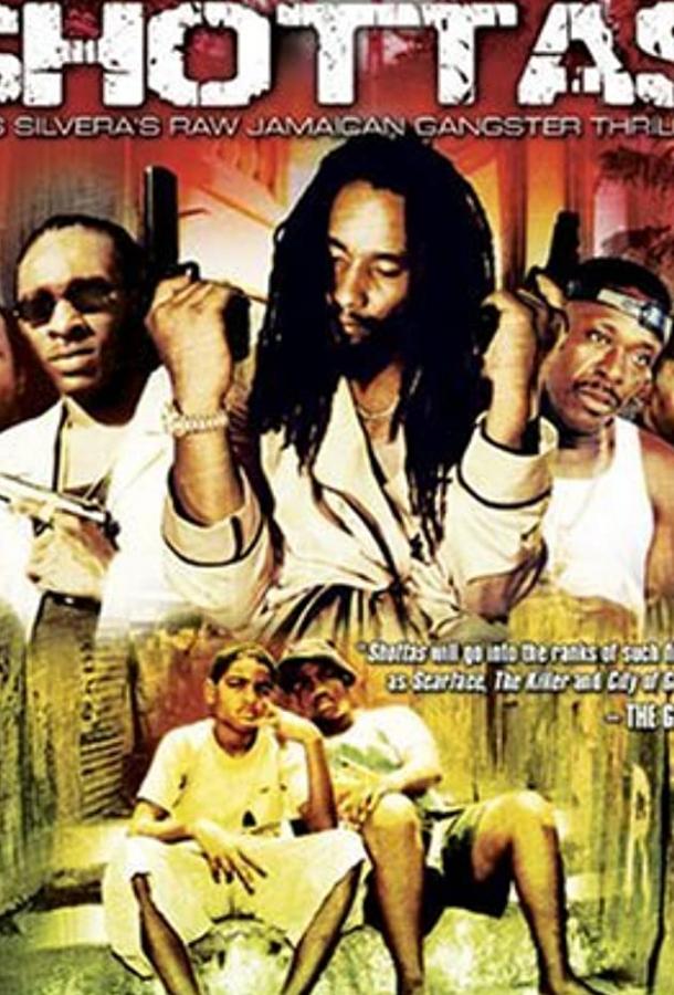 Постер к Стрельба (2002)