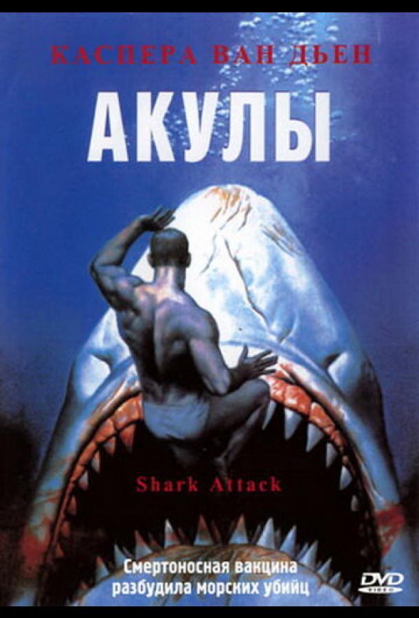 Постер к Акулы (1999)