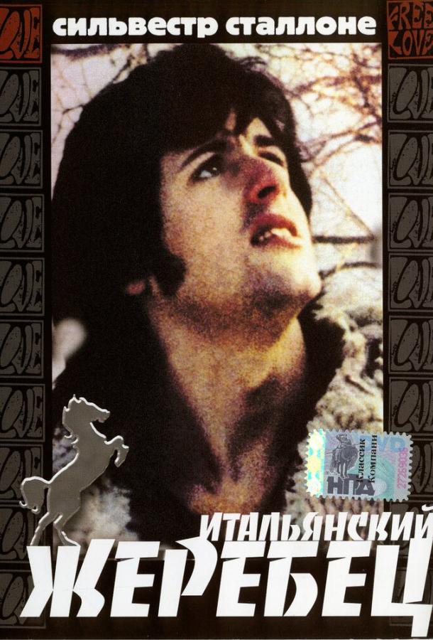 Постер к Итальянский жеребец (1970)
