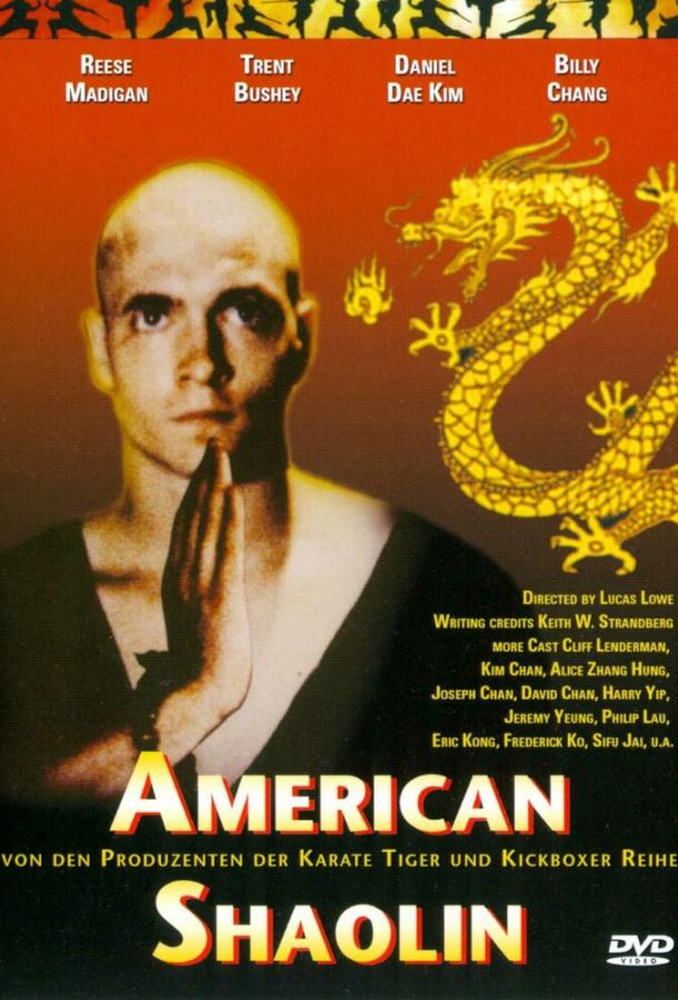Постер к Американский Шаолинь (1991)
