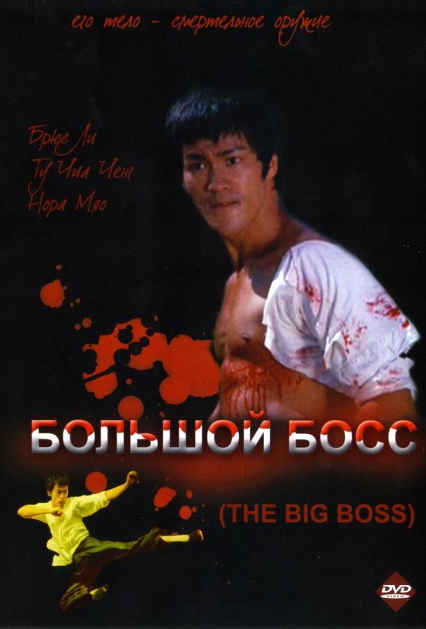Постер к Большой босс (1971)
