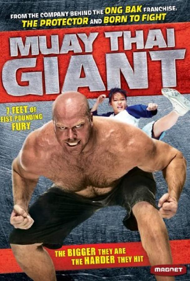 Постер к Сомтум (2008)