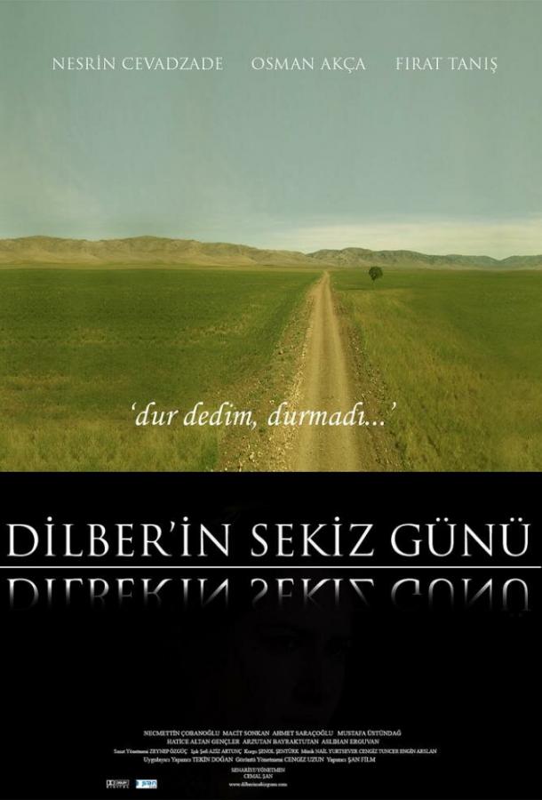 Постер к Восемь дней Дилбер (2008)