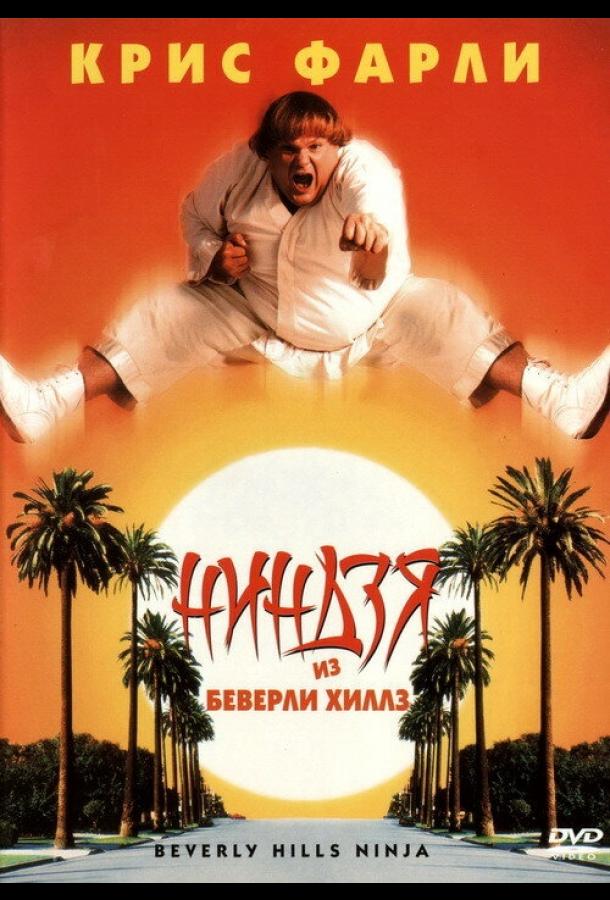 Постер к Ниндзя из Беверли Хиллз (1997)