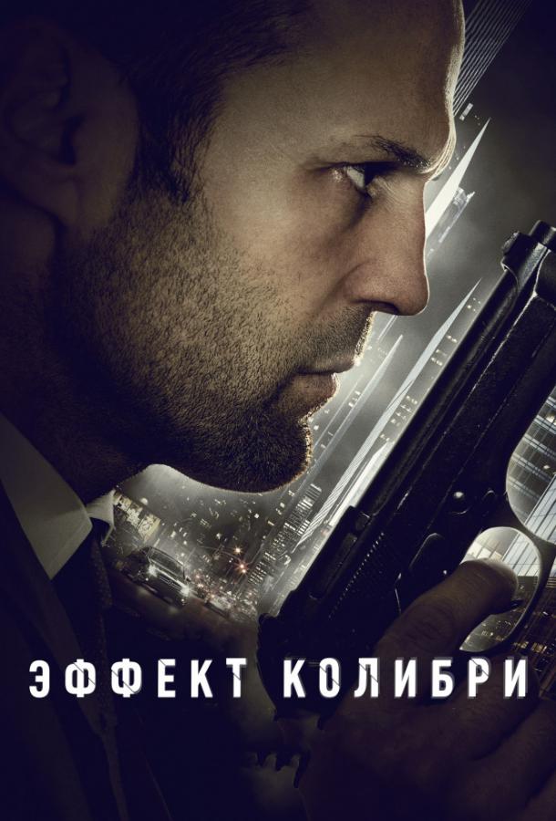 Постер к Эффект колибри (2013)