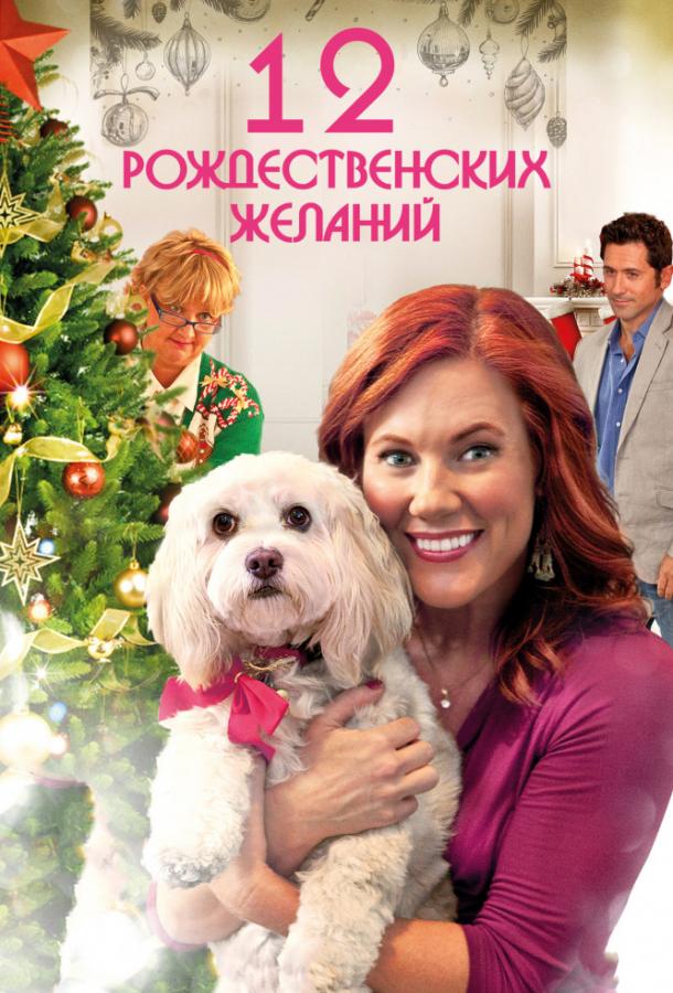 Постер к 12 Рождественских желаний (2011)