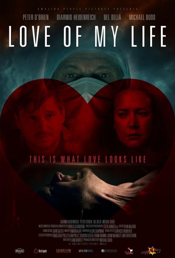 Постер к Любовь моей жизни (2013)