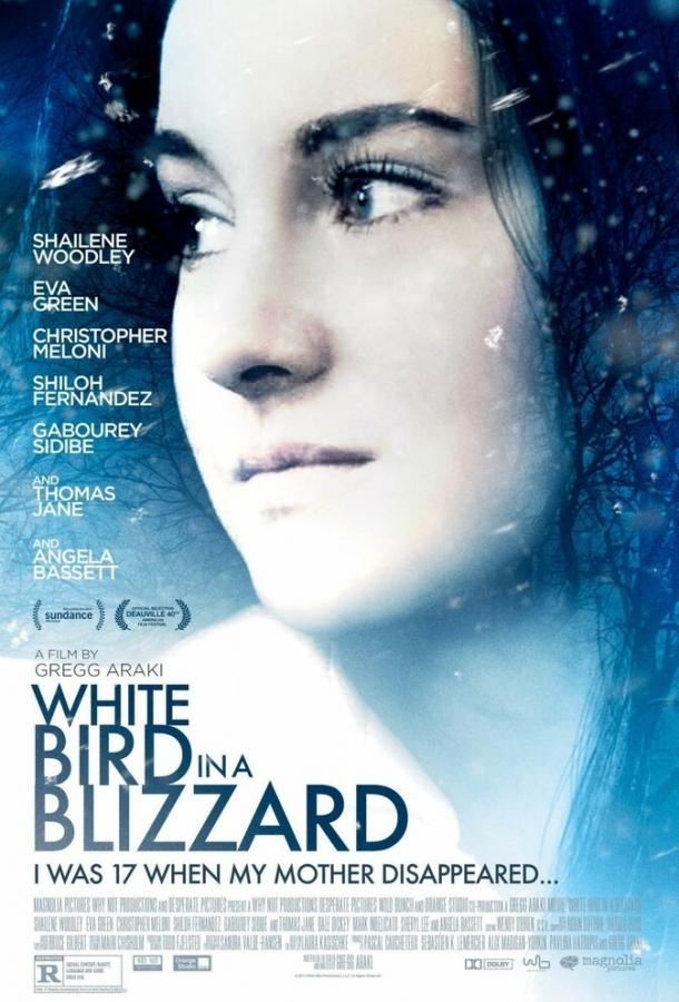Постер к Белая птица в метели (2014)