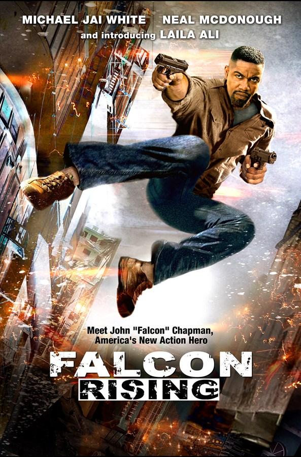Постер к Восхождение Сокола (2014)