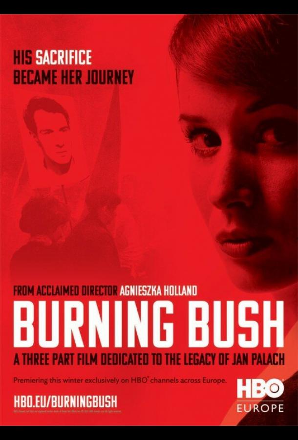 Постер к Неопалимая купина (1 сезон)