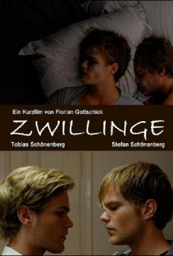 Постер к Близнецы (2010)