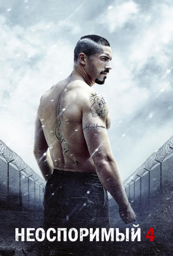 Постер к Бойка: Неоспоримый 4 (2016)