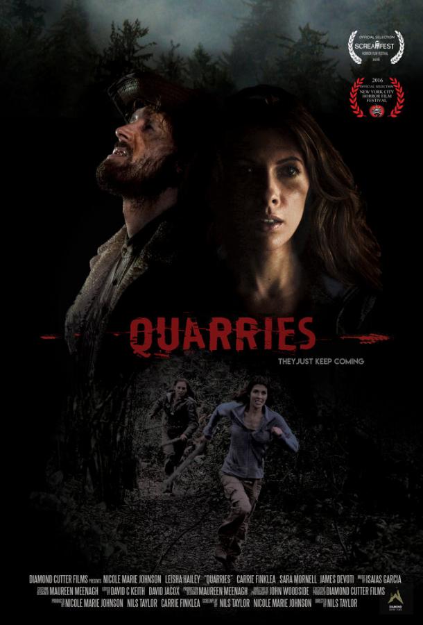 Постер к Карьер (2016)