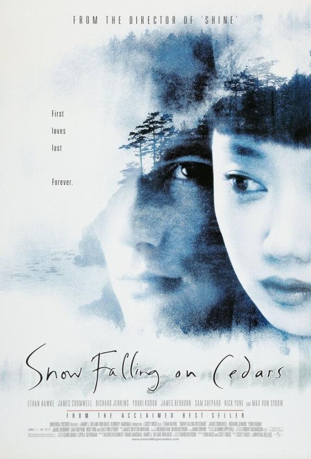 Постер к Заснеженные кедры (1999)