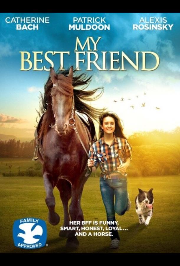 Постер к Мой лучший друг (2016)