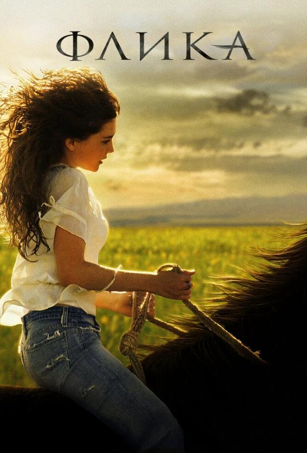 Постер к Флика (2006)