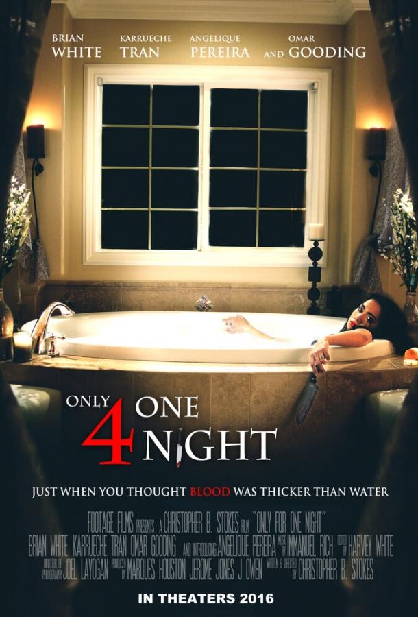 Постер к Только на одну ночь (2016)